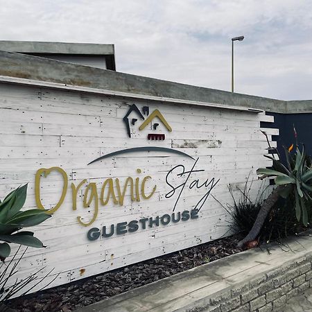 Organic Stay Guesthouse Swakopmund Exteriör bild