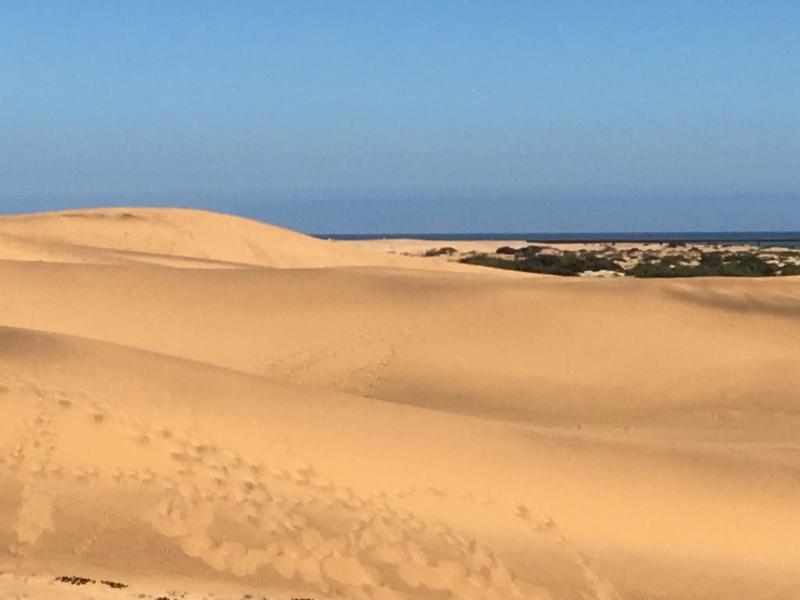 Organic Stay Guesthouse Swakopmund Exteriör bild